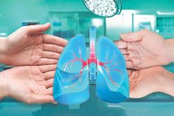 'Chiếc cầu' nối những mùa xuân sự sống