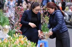 Thời tiết ngày 27 Tết: Khu vực Bắc Bộ rét đậm, Hà Nội có lúc mưa rào