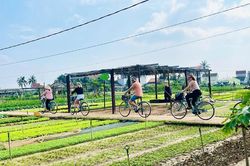 Làng nông nghiệp 'hút' khách quốc tế