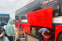 Nghệ An bảo đảm đủ phương tiện phục vụ người dân dịp Tết