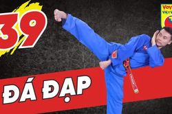 Tinh hoa võ Việt - Tập 39: Bổ trợ và hoàn thiện đá đạp
