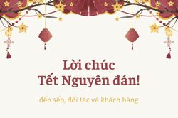 Lời chúc Tết Ất Tỵ 2025 gửi sếp, đồng nghiệp, đối tác, khách hàng