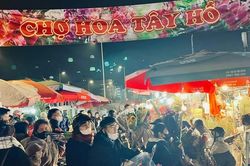 Chợ hoa Tết Quảng An cuối năm nhộn nhịp khách mua bán