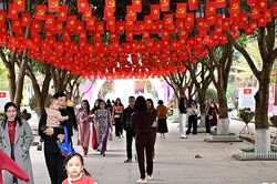 Ngày đầu năm trên quê hương Bác