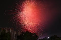 Pháo hoa rực rỡ chào đón xuân Ất Tỵ