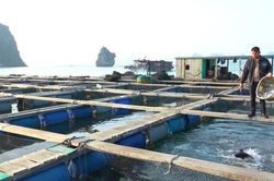 Ước vọng mới của người dân làng chài trên đảo Ông Cụ