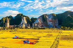 Lĩnh vực Nông nghiệp và Phát triển nông thôn triển khai chủ động, sáng tạo, linh hoạt và đạt được kết quả tích cực