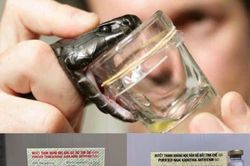 Năm rắn nói về biểu tượng ngành Y tế