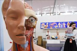 Các nhà khoa học phát hiện ra đột biến nguy hiểm ở con người
