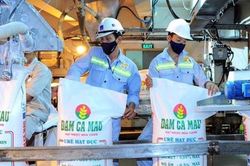 Quý IV/2024 giảm sâu, Đạm Cà Mau vẫn vượt kế hoạch kinh doanh cả năm