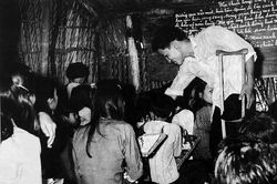 Vẫn âm ỉ hòn than U Minh