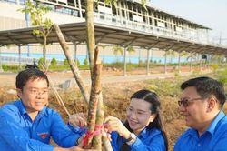 Tuổi trẻ TPHCM trồng 300 cây xanh chào Xuân Ất Tỵ 2025
