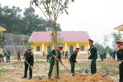Bộ Chỉ huy Quân sự tỉnh phát động 'Tết trồng cây đời đời nhớ ơn Bác Hồ' Xuân Ất Tỵ 2025