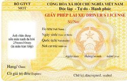 Hai mẫu giấy phép lái xe mới áp dụng từ 2025 và 2026