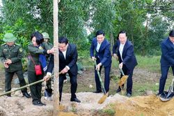 Tỉnh Nghệ An phát động 'Tết trồng cây đời đời nhớ ơn Bác Hồ' Xuân Ất Tỵ 2025