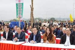Thành phố Vinh phát động Tết trồng cây Xuân Ất Tỵ 2025