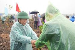 Thành phố Huế: Trồng hơn 1.000 cây xanh tại lễ phát động 'Tết trồng cây đời đời nhớ ơn Bác Hồ'