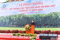 Chủ tịch nước Lương Cường phát động Tết trồng cây 'Đời đời nhớ ơn Bác Hồ' Xuân Ất Tỵ năm 2025
