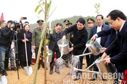 Chủ tịch nước Lương Cường dự Lễ phát động 'Tết trồng cây đời đời nhớ ơn Bác Hồ' tại Lạng Sơn