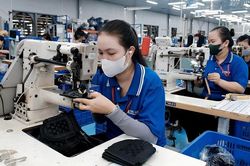 TP. Cần Thơ thúc đẩy, hỗ trợ doanh nghiệp trong năm mới