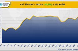 Thị trường hàng hóa: MXV-Index lên mức cao nhất 7 tháng