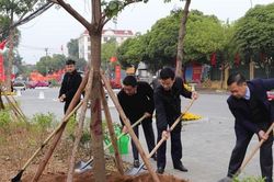 Huyện Sóc Sơn phát động trồng 55.000 cây xanh