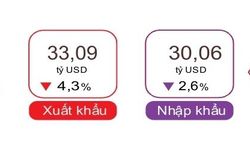 Nỗ lực hướng tới mục tiêu tăng trưởng kim ngạch xuất nhập khẩu khoảng 12%