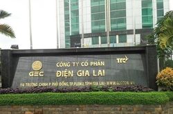Lợi nhuận dương nhưng tổng tài sản Điện Gia Lai vẫn giảm so với 2023