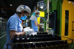 Vốn FDI đăng ký vào Việt Nam tháng 01/2025 tăng 48,6%