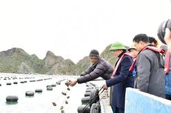 Nuôi trồng thủy sản phải chuyển nhanh sang công nghệ cao, bền vững