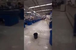 Khách hàng và nhân viên 'đua nhau' bỏ chạy khi mưa đá rơi xuống siêu thị