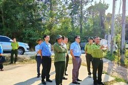 Chủ động bảo vệ rừng