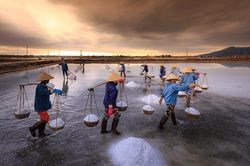 Cơ hội quảng bá, giới thiệu các sản phẩm của HTX tại Festival nghề Muối Việt Nam-Bạc Liêu