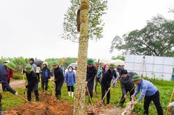 Hội Nông dân Nghệ An phát động phong trào nông dân trồng cây chống sạt lở gắn với tạo cảnh quan hai bờ sông Lam