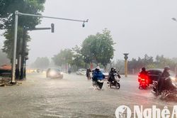 Người tham gia giao thông có được dừng xe trên đường để mặc áo mưa không?