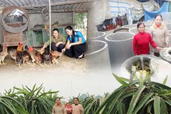 Những hành trình đặc biệt của rác thải