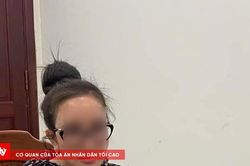 Khởi tố giám đốc doanh nghiệp tham gia mua bán hóa đơn trái phép