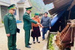 Bộ đội Biên phòng chủ động ứng phó với rét đậm