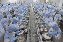 Xuất khẩu thủy sản Việt Nam vẫn có thể duy trì đà tăng trưởng trong năm 2025