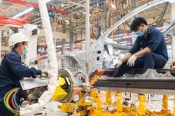 Doanh nghiệp TP.HCM ngừng hoạt động tăng gần 15%