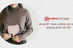 Bí quyết tăng cường sức khỏe đường ruột từ thực phẩm có trong nhà