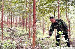 Chi Lăng: Điểm sáng thi đua nông dân sản xuất, kinh doanh giỏi