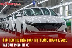 Ô tô tiêu thụ trên toàn thị trường tháng 1/2025 đạt gần 19 nghìn xe