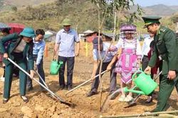 Phong Thổ phát động 'Tết trồng cây đời đời nhớ ơn Bác Hồ' Xuân Ất Tỵ năm 2025