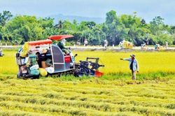 Thừa Thiên - Huế: Kế hoạch năm 2025 Chương trình mục tiêu quốc gia xây dựng nông thôn mới gắn với giảm nghèo bền vững