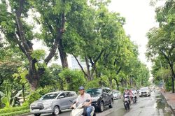 Dự báo thời tiết Hà Nội và các khu vực trong cả nước tuần tới