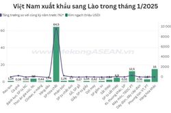Sản phẩm hóa chất của Việt Nam xuất khẩu sang Lào tăng đột biến