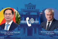 Phó Thủ tướng, Bộ trưởng Ngoại giao Bùi Thanh Sơn điện đàm với Bộ trưởng Ngoại giao Ukraine Andrii Sybiha