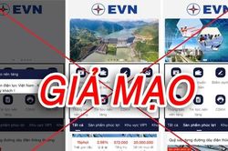 Bị lừa hơn 10 triệu đồng vì tải ứng dụng giả mạo EVN thanh toán tiền điện