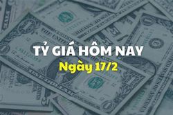 Tỷ giá hôm nay 17/2: Biến động trái chiều giữa giá USD và NDT